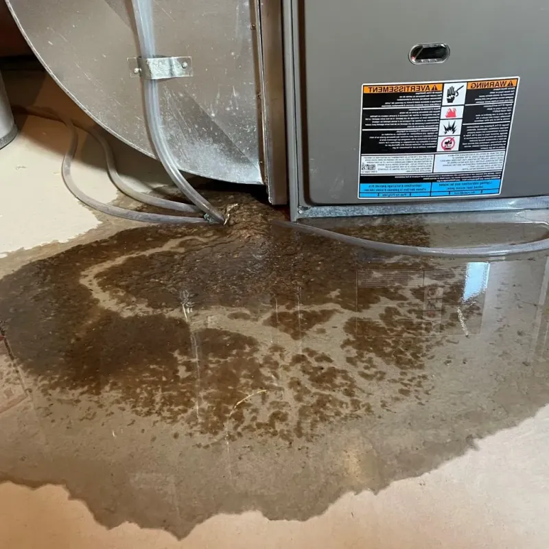 Pipe Burst and Leak Restoration in Oquirrh, UT